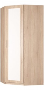 Угловой распашной шкаф Реал (YR-230х1034 (3)-М Вар.1), с зеркалом в Химках