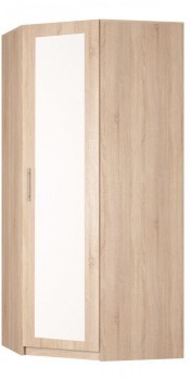 Угловой распашной шкаф Реал (YR-230х1034 (3)-М Вар.1), с зеркалом в Одинцово - изображение