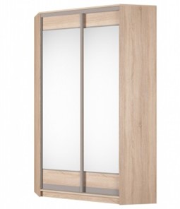 Угловой шкаф Аларти (YA-230х1250(602) (2) Вар. 3; двери D2+D2), с зеркалом в Подольске