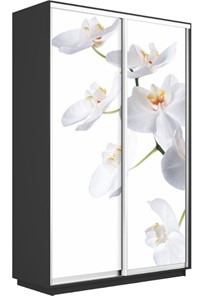Шкаф 2-створчатый Экспресс 1200x450x2200, Орхидея белая/серый диамант в Москве