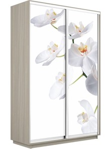 Шкаф 2-створчатый Экспресс 1600x450x2200, Орхидея белая/шимо светлый в Серпухове
