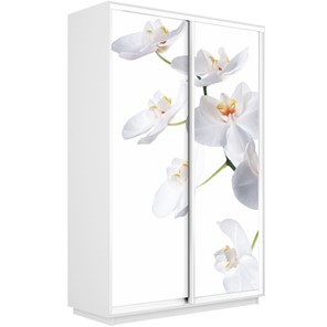 Шкаф 2-дверный Экспресс 1600x450x2400, Орхидея белая/белый снег в Москве