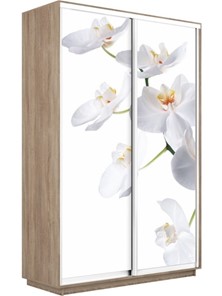 Шкаф Экспресс 1600x450x2400, Орхидея белая/дуб сонома в Москве - предосмотр