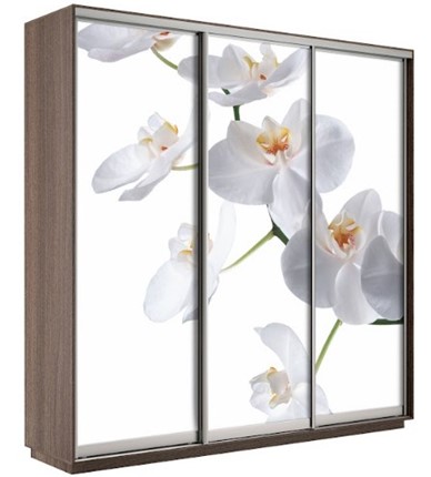 Шкаф 3-х дверный Экспресс 1800х600х2200, Орхидея бела/шимо темный в Серпухове - изображение
