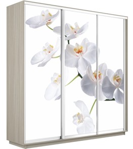 Шкаф 3-х дверный Экспресс 2100х600х2200, Орхидея белая/шимо светлый в Москве