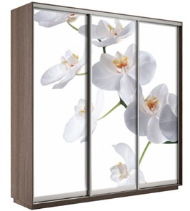 Шкаф 3-х створчатый Экспресс 2100х600х2200, Орхидея белая/шимо темный в Серпухове