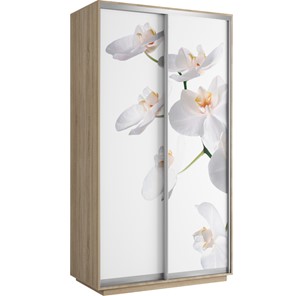 Шкаф 2-створчатый Хит 1200x600x2200, белая орхидея, ясень шимо светлый в Москве