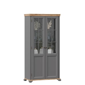 Шкаф двухстворчатый с стеклом Амели (Оникс серый) ЛД 642.890 в Подольске