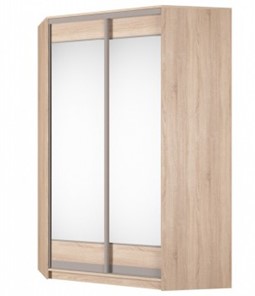 Шкаф угловой Аларти (YA-230х1400(602) (10) Вар. 1; двери D2+D2), с зеркалом в Подольске
