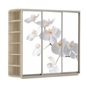 Шкаф Экспресс со стеллажом, 2700х600х2400, Орхидея белая/дуб сонома в Москве