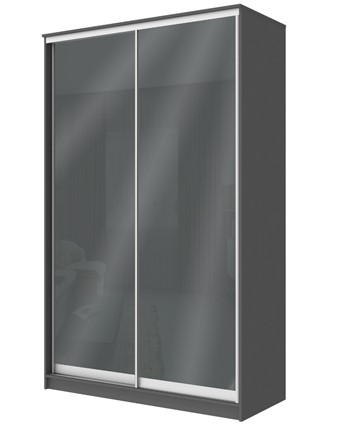 Шкаф-купе 2-х дверный Хит-22-12/2-22 с цветным стеклом, темно-серый 073, Графит в Москве - изображение