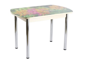 Кухонный обеденный стол ПГ-04 СТФ, дуб молочный ЛДСП/луговые цветы/39 прямые трубы хром в Подольске