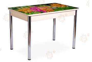 Кухонный стол раскладной Айсберг-02 СТФ, Дуб ЛДСП/полевые цветы/ноги хром прямые в Одинцово