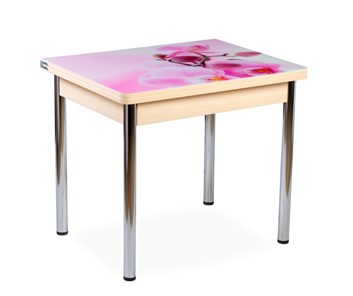 Кухонный пристенный стол СПА-01 СТФ, молочный дуб/фотопечать орхидея/опоры прямые хром в Подольске - предосмотр