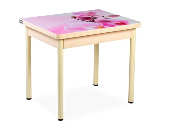Кухонный пристенный стол СПА-02 СТФ, молочный дуб/фотопечать орхидея/опоры бежевый в Подольске - изображение