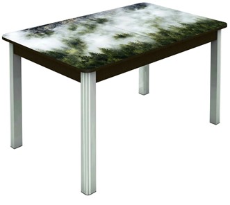 Кухонный раздвижной стол Гамбург исп. 1, ноги метал. крашеные №23 (Exclusive h010/венге) в Москве