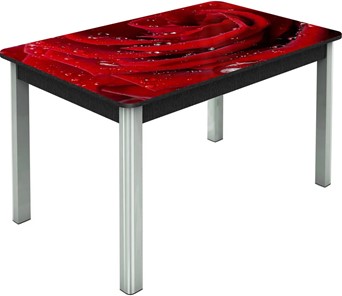 Кухонный стол раздвижной Гамбург исп. Мини, ноги метал. крашеные №23, Фотопечать (Цветы №39) в Подольске