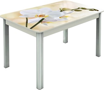 Раздвижной стол Гамбург исп.2 ноги метал. крашеные №23, Фотопечать (Цветы №5) в Химках