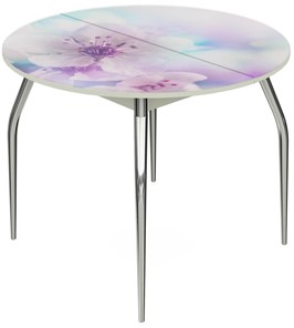 Кухонный стол раскладной Ривьера - Круг, ноги метал. крашеные №24, ФП (Цветы №40) в Подольске