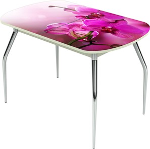 Кухонный стол раскладной Ривьера исп.1 ноги метал. крашеные №24 Фотопечать (Цветы №16) в Подольске