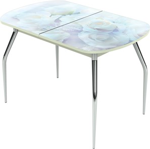 Кухонный стол раскладной Ривьера исп.1 ноги метал. крашеные №24 Фотопечать (Цветы №36) в Одинцово