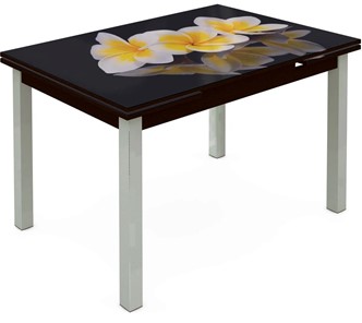 Кухонный стол раскладной Шанхай исп. 1, ноги метал. крашеные №21 Фотопечать (Цветы №11) в Подольске