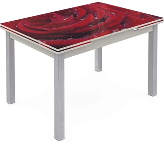 Кухонный стол раздвижной Шанхай исп. 2, ноги метал. крашеные №21 Фотопечать (Цветы №39) в Химках