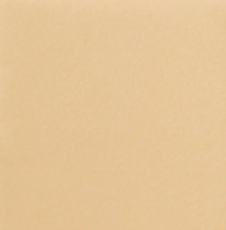 Стул кухонный Роджер Эконом С102-2(стандартная покраска) в Химках - изображение 9