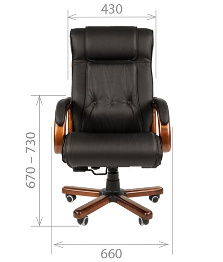 Кресло офисное CHAIRMAN 653 кожа черная в Серпухове - изображение 1