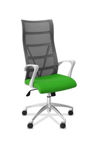Офисное кресло для руководителя Топ X белый каркас, сетка/ткань TW / серая/салатовая в Москве - предосмотр