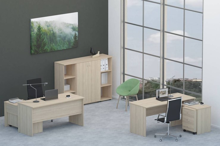 Офисный комплект мебели Twin для 2 сотрудников со шкафом для документов в Химках - изображение