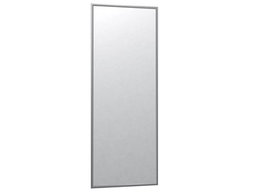 Зеркало навесное в гардероб Сельетта-6 матовое серебро (1100х400х9) в Москве - предосмотр