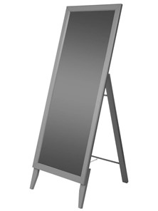 Зеркало напольное BeautyStyle 29 (131х47,1х41,5см) Серый в Одинцово