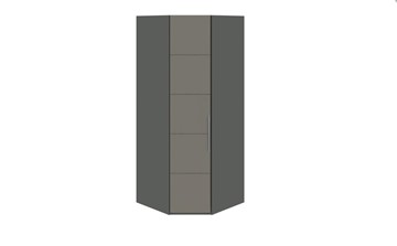 Распашной угловой шкаф Наоми, цвет Фон серый, Джут СМ-208.07.06 в Химках