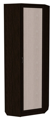 Шкаф распашной 402 угловой со штангой, цвет Венге в Подольске - изображение