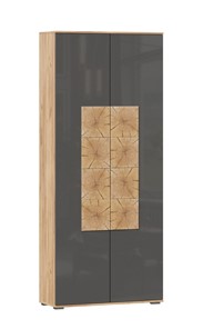 Шкаф двухстворчатый Фиджи с декоративными накладками 659.310, Дуб Золотой/Антрацит в Одинцово