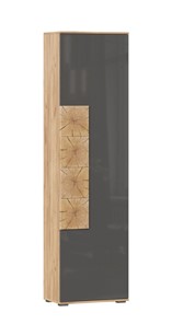 Шкаф одностворчатый Фиджи с декоративными накладками 659.300, Дуб Золотой/Антрацит в Одинцово