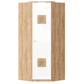 Шкаф угловой 45 с декоративной накладкой Фиджи, 659.248, белый в Серпухове - предосмотр