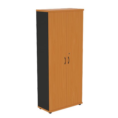 Шкаф двухдверный Моно-Люкс R5S05 в Подольске - изображение