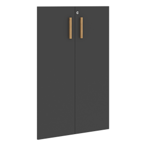 Средние двери для шкафов с замком FORTA Черный Графит FMD 40-2(Z) (794х18х1164) в Подольске